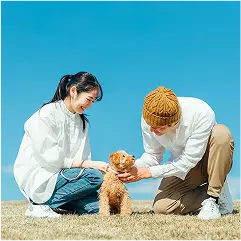 映像の印象を変える、魅せるインテリア。